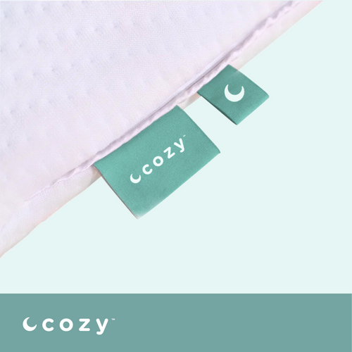 Cozy Pillow