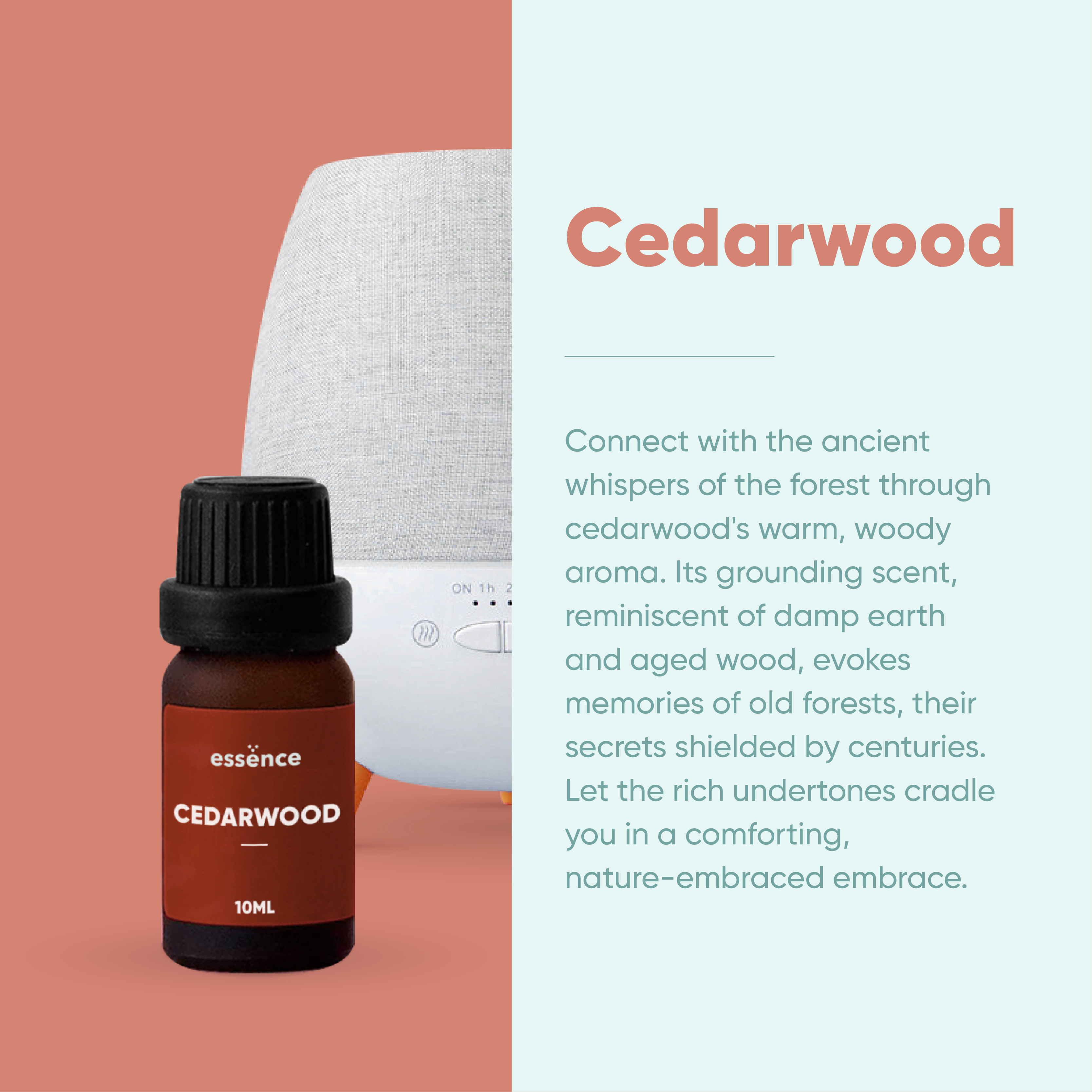 Cedarwood